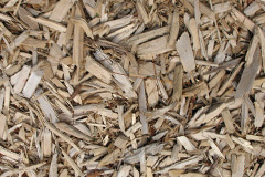 biomass boilers Peper Harow